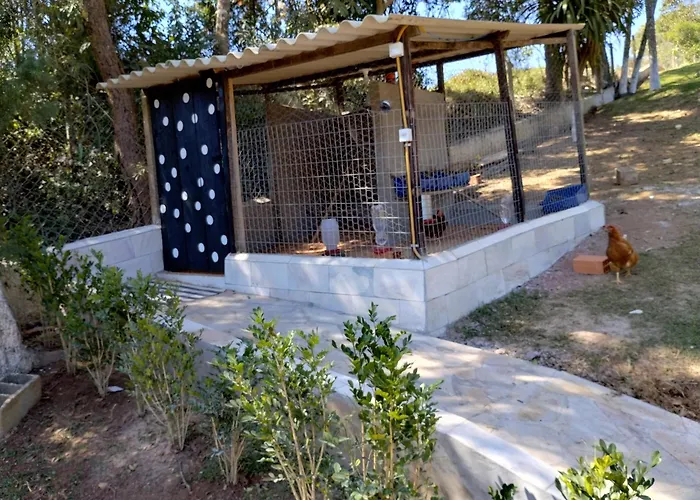 Biju\'S Little Farm